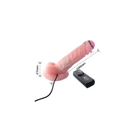 D46-149069NT BAILE VIBRATORS