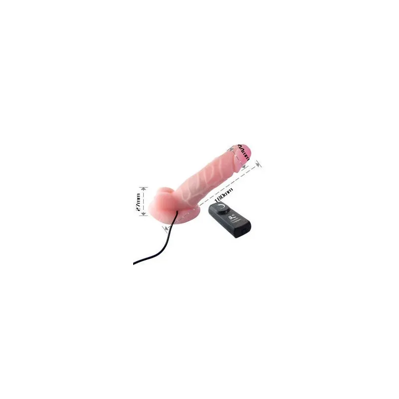 D46-149069NT BAILE VIBRATORS