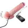 D46-149069NT BAILE VIBRATORS