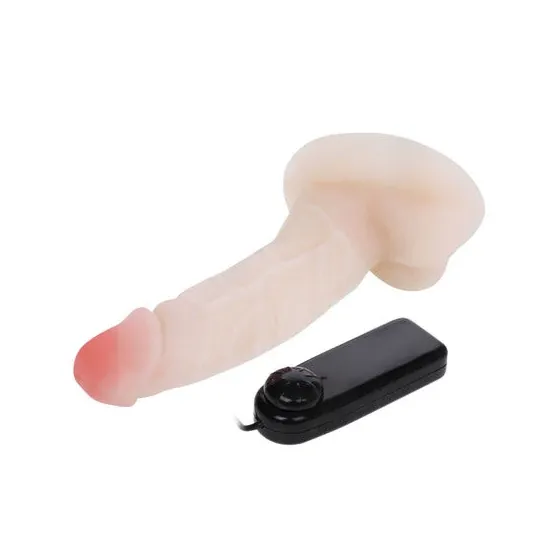D46-149069NT BAILE VIBRATORS