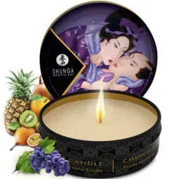 D-237771 SHUNGA KITS