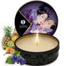 D-237771 SHUNGA KITS