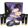 D-237771 SHUNGA KITS