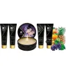 D-237771 SHUNGA KITS