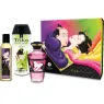 D-222700 SHUNGA KITS