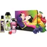 D-222700 SHUNGA KITS