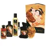 D-224037 SHUNGA KITS