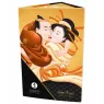 D-224037 SHUNGA KITS