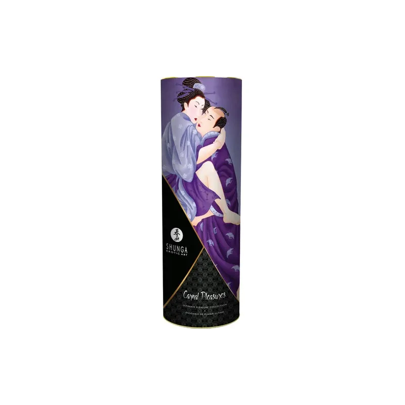 D-211505 SHUNGA KITS