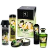 D-237878 SHUNGA KITS