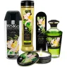 D-237878 SHUNGA KITS