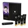 D-220397 SHUNGA KITS