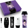D-237769 SHUNGA KITS