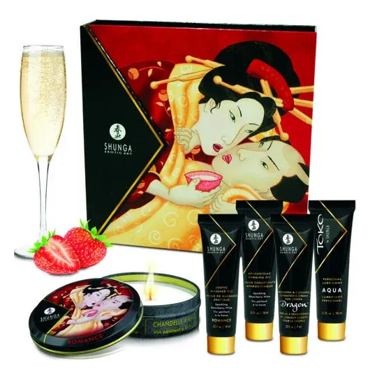 D-211490 SHUNGA KITS