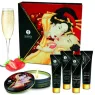 D-211490 SHUNGA KITS
