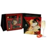 D-211490 SHUNGA KITS
