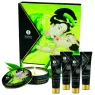 D-211504 SHUNGA KITS