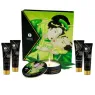 D-211504 SHUNGA KITS