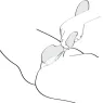 D-237800 SHUNGA TOYS