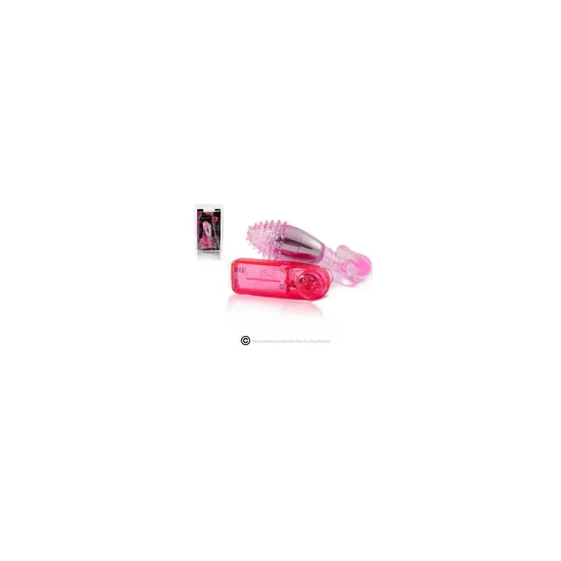 D66-149109RS BAILE