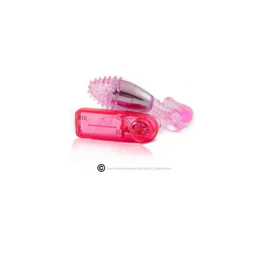 D66-149109RS BAILE
