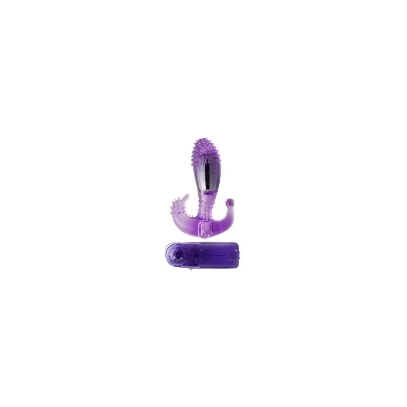 D66-149109LL BAILE