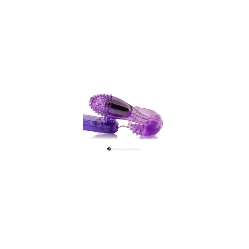 D66-149109LL BAILE