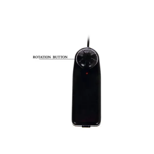 D-199976 BAILE VIBRATORS