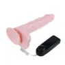 D-199976 BAILE VIBRATORS