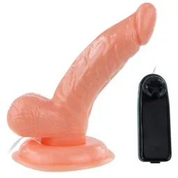 D-199970 BAILE VIBRATORS