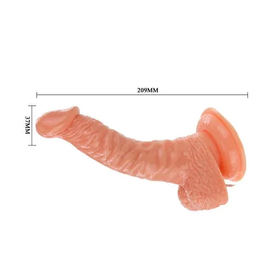 D-199975 BAILE VIBRATORS