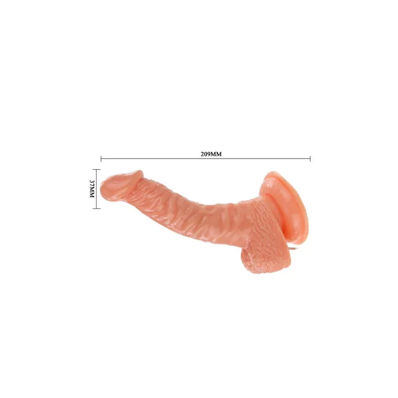 D-199975 BAILE VIBRATORS
