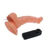 D-199975 BAILE VIBRATORS