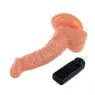 D-199975 BAILE VIBRATORS