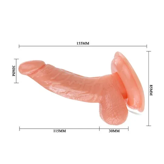 D-199974 BAILE VIBRATORS