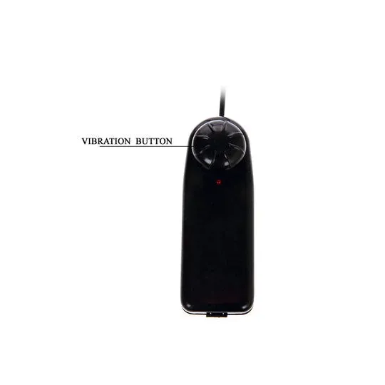 D-199974 BAILE VIBRATORS