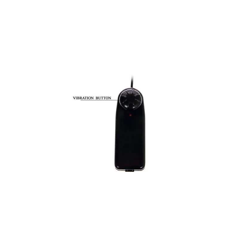 D-199974 BAILE VIBRATORS
