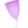 D-223033 STERCUP