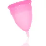 D-223031 STERCUP