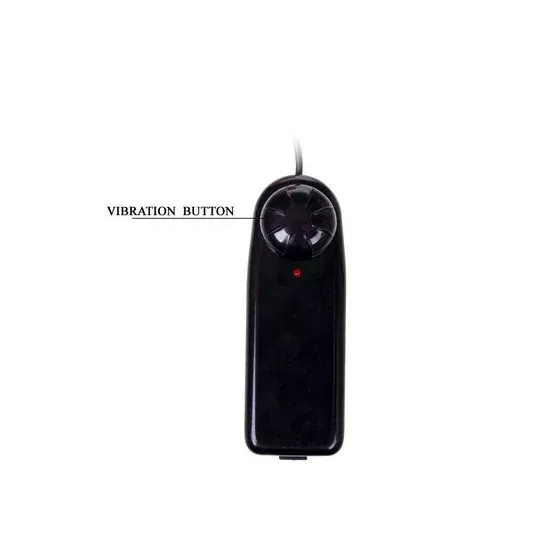 D-199967 BAILE VIBRATORS