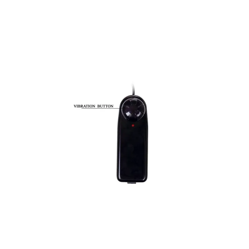 D-199967 BAILE VIBRATORS
