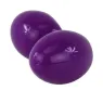 D-219244 BAILE ANAL