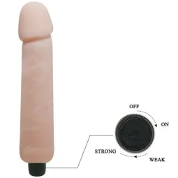 D-218777 BAILE VIBRATORS