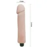 D-218777 BAILE VIBRATORS