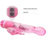 D-219240 BAILE VIBRATORS