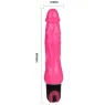 D-220389 BAILE VIBRATORS