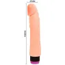 D-218756 BAILE VIBRATORS