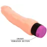 D-218756 BAILE VIBRATORS