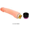 D-218756 BAILE VIBRATORS