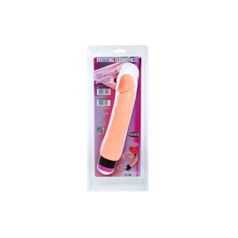 D-218756 BAILE VIBRATORS